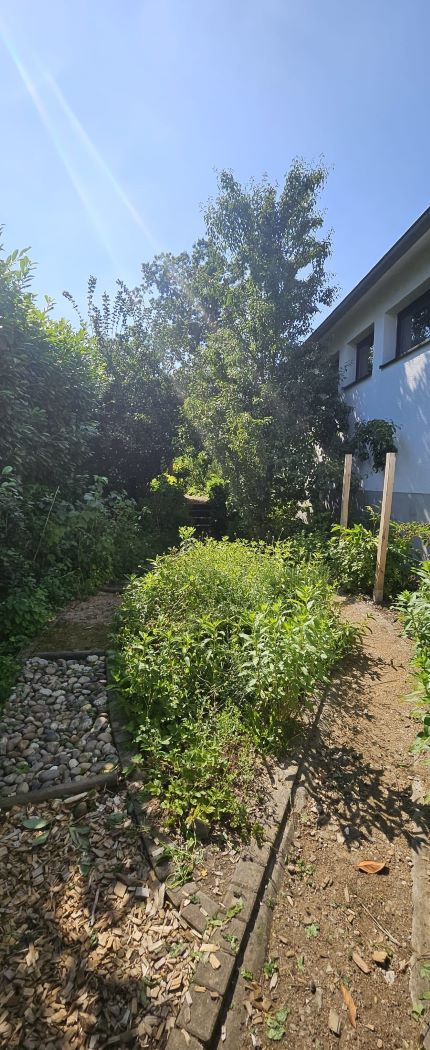 Schulgarten