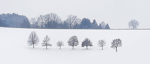 Neujahrsgruesse